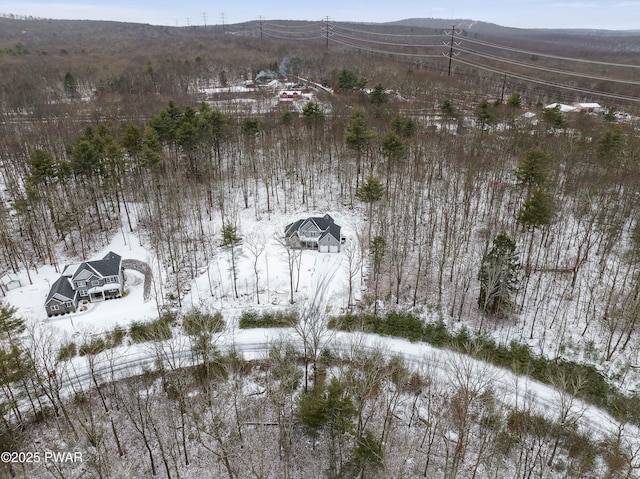 view of snowy aerial view