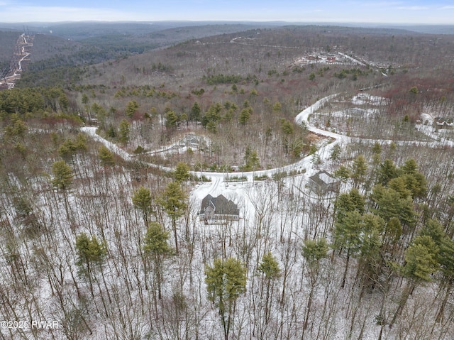 aerial view with a mountain view