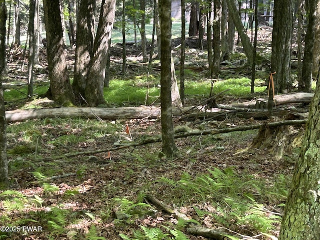 LOT322 Orion Way, Lake Ariel, PA 18436 - photo 4