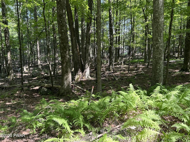 LOT322 Orion Way, Lake Ariel, PA 18436 - photo 8