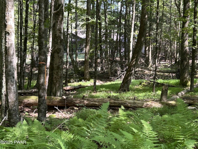 LOT322 Orion Way, Lake Ariel, PA 18436 - photo 10