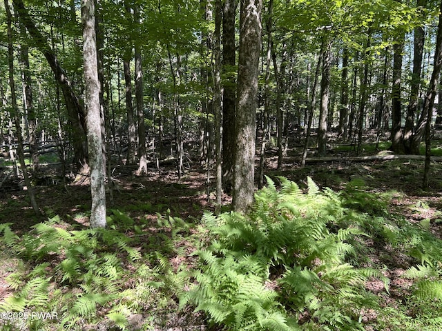 LOT322 Orion Way, Lake Ariel, PA 18436 - photo 5