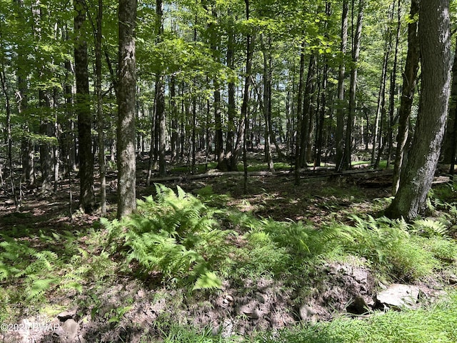 LOT322 Orion Way, Lake Ariel, PA 18436 - photo 9