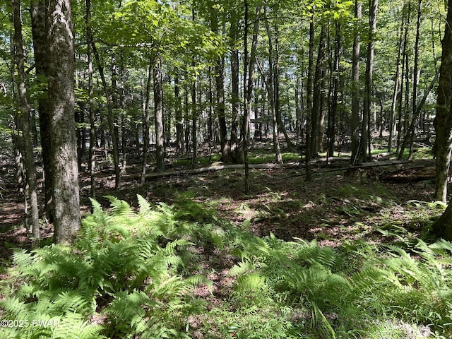 LOT322 Orion Way, Lake Ariel, PA 18436 - photo 6