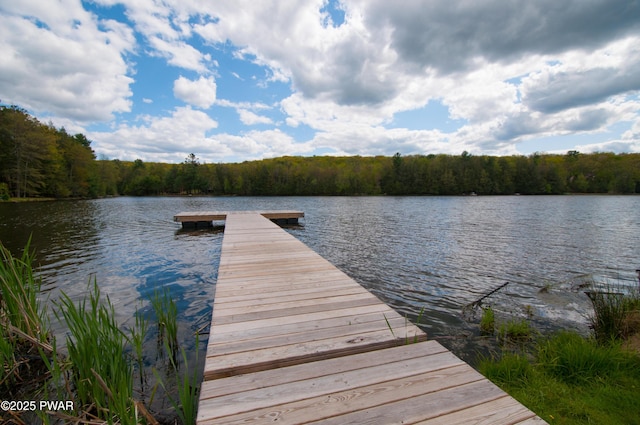 105 Beechwood Ln, Greentown, PA 18426 - view of dock featuring a water view and a wooded view