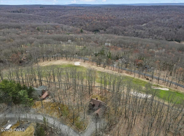 105 Beechwood Ln, Greentown, PA 18426 - drone / aerial view featuring a view of trees