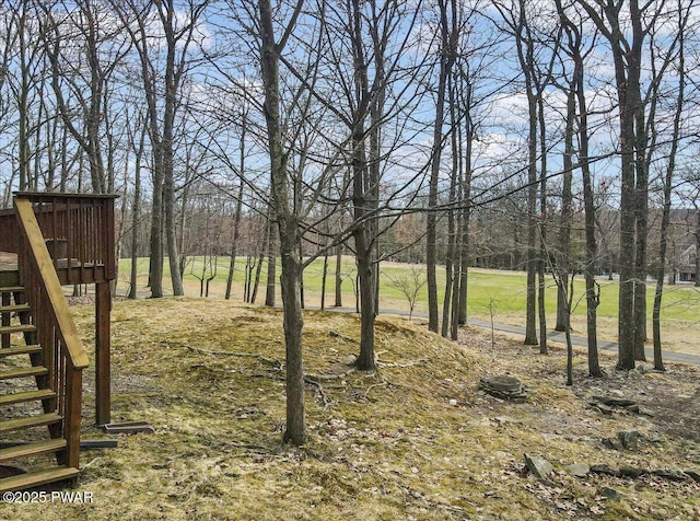 105 Beechwood Ln, Greentown, PA 18426 - view of yard featuring stairway