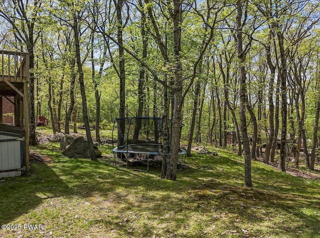 809 Rimrock Ct, Lords Valley, PA 18428 - photo 42