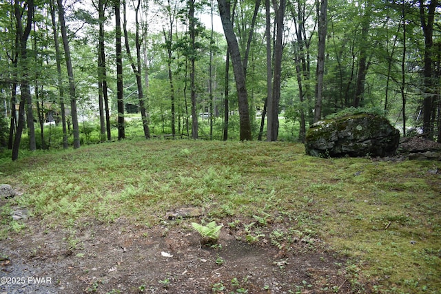 131 Basswood Dr, Lords Valley, PA 18428 - photo 30