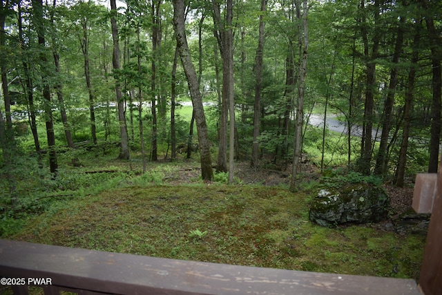 131 Basswood Dr, Lords Valley, PA 18428 - photo 29