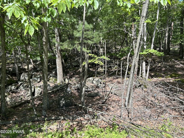 LOT19 Rustic Way, Milford, PA 18337 - photo 8