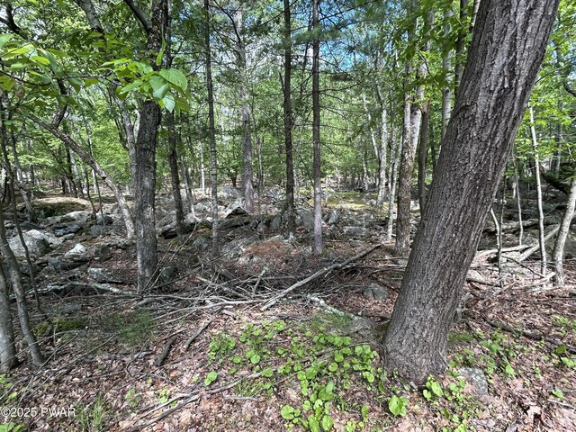LOT19 Rustic Way, Milford, PA 18337 - photo 3