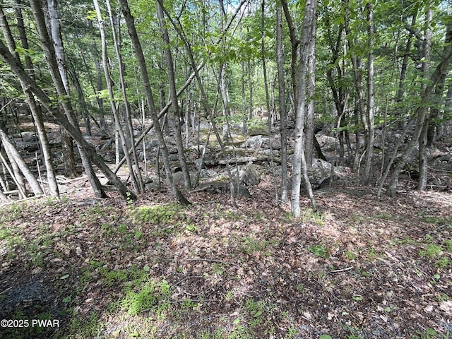 LOT19 Rustic Way, Milford, PA 18337 - photo 5