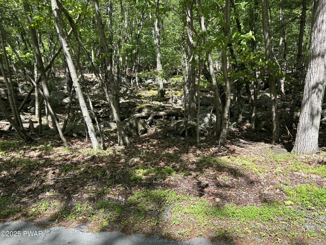 LOT19 Rustic Way, Milford, PA 18337 - photo 6