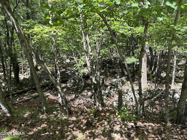 LOT19 Rustic Way, Milford, PA 18337 - photo 9
