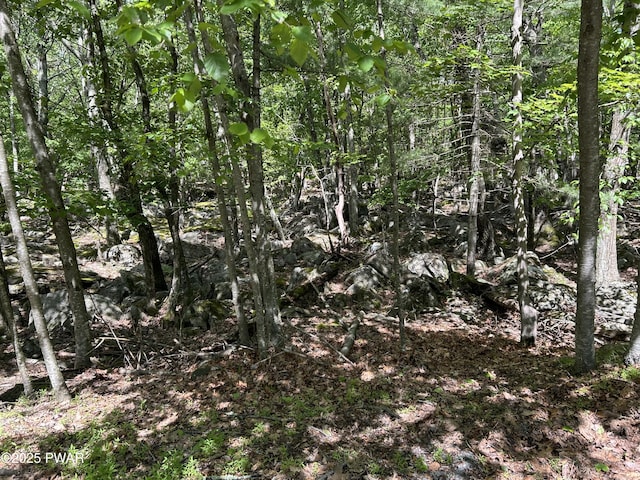 LOT19 Rustic Way, Milford, PA 18337 - photo 10