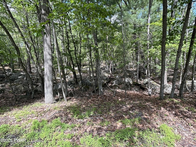 LOT19 Rustic Way, Milford, PA 18337 - photo 4