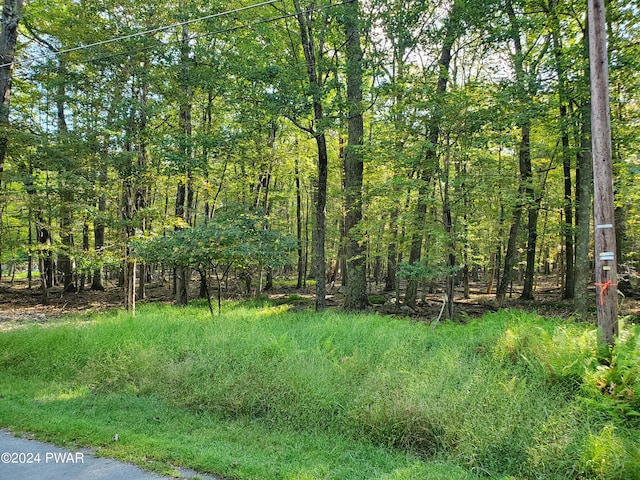 Listing photo 3 for LOT200 Cottonwood Dr, Hawley PA 18428