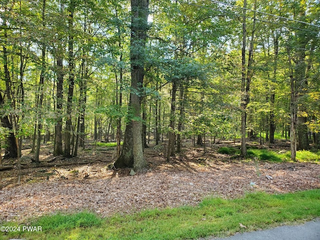 Listing photo 2 for LOT200 Cottonwood Dr, Hawley PA 18428