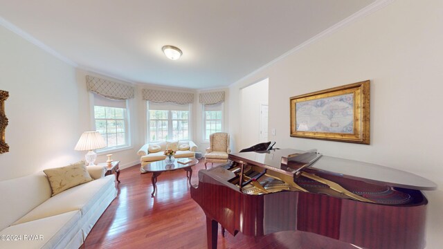 office featuring hardwood / wood-style flooring and crown molding