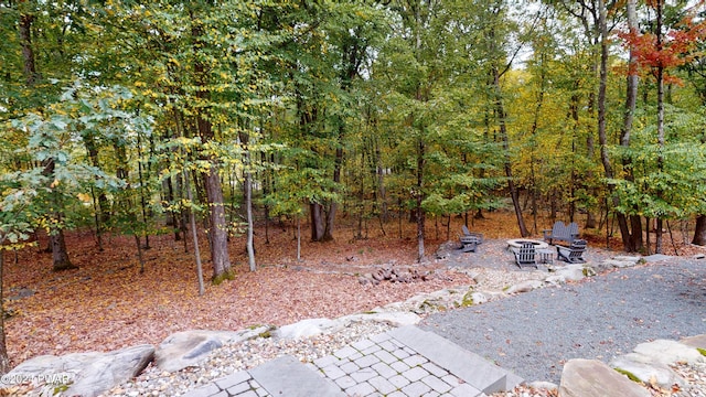 view of yard featuring an outdoor fire pit