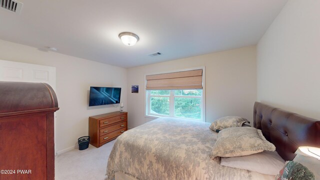 bedroom with light colored carpet