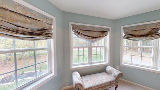 living area featuring carpet floors