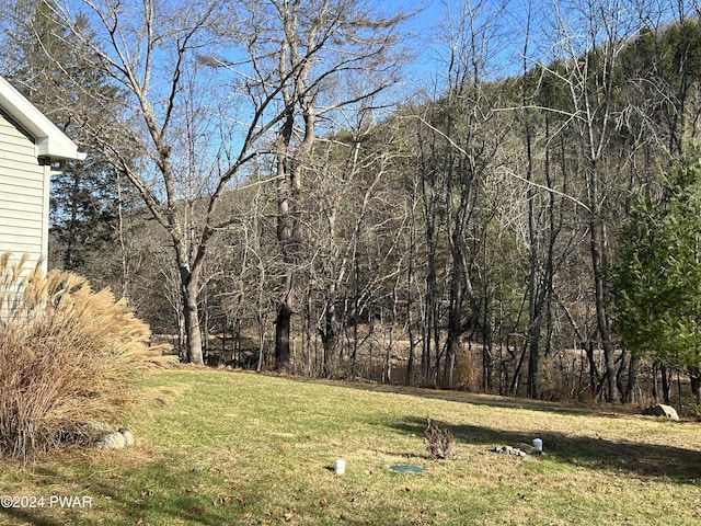 144 Township Rd, Lackawaxen, PA 18435 - photo 32