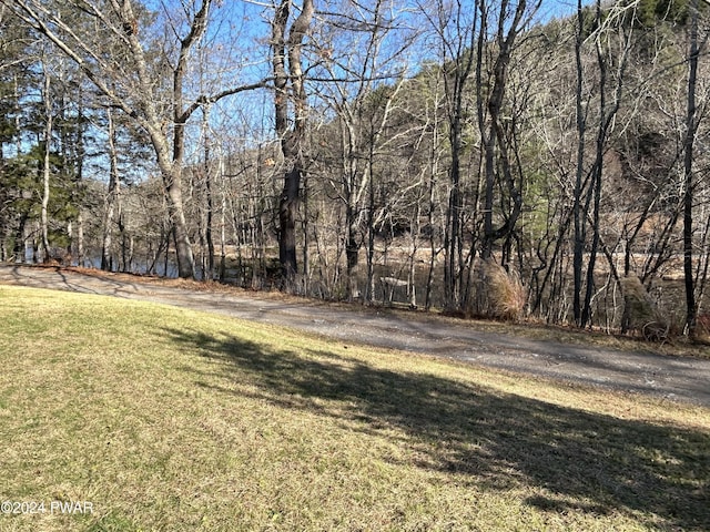 144 Township Rd, Lackawaxen, PA 18435 - photo 4
