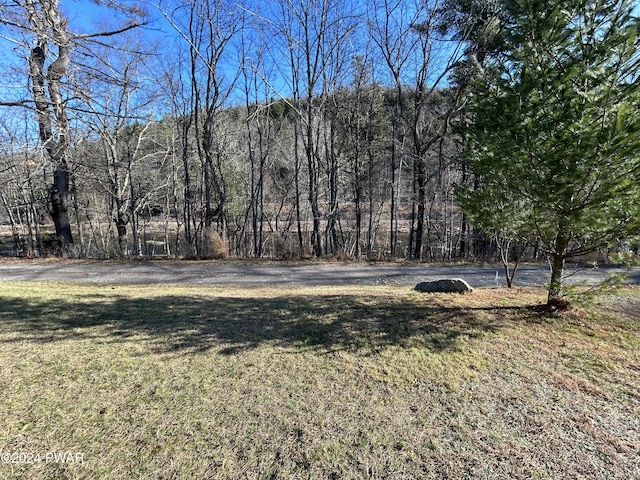 144 Township Rd, Lackawaxen, PA 18435 - photo 39