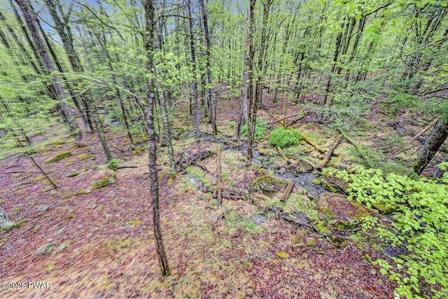 808 Pioneer Ct, Lackawaxen, PA 18435 - view of undeveloped land