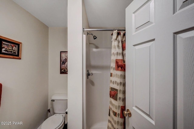 808 Pioneer Ct, Lackawaxen, PA 18435 - full bath featuring toilet and curtained shower