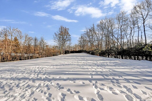 2557 Long Pond Rd, Long Pond, PA 18334 - view of yard
