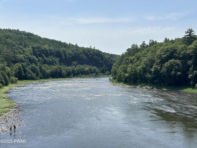 214 Twin Lakes Rd, Shohola, PA 18458 - water view featuring a forest
