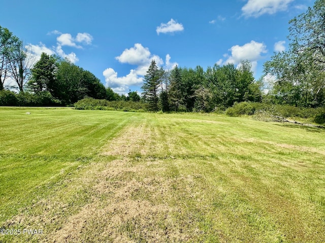191 Hemlock Grove Rd, Greentown, PA 18426 - photo 5