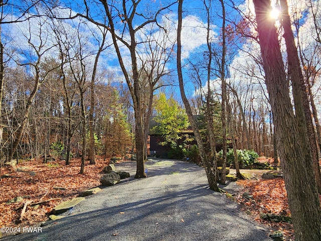 view of street featuring aphalt driveway