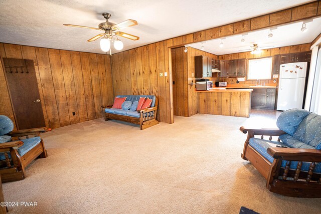 living room featuring a textured ceiling, light carpet, sink, and wood walls