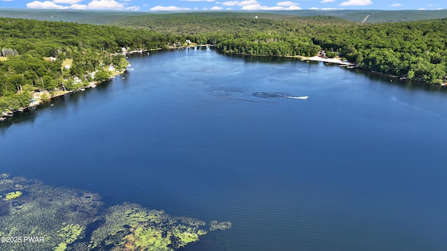 116 Rainbow Dr, Lackawaxen, PA 18435 - drone / aerial view of a heavily wooded area and a nearby body of water