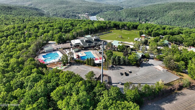 116 Rainbow Dr, Lackawaxen, PA 18435 - bird's eye view of a forest and a pool