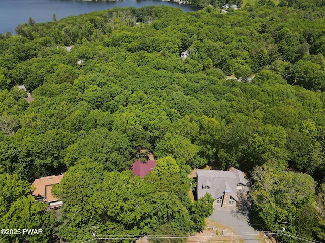 116 Rainbow Dr, Lackawaxen, PA 18435 - drone / aerial view of a heavily wooded area and a nearby body of water