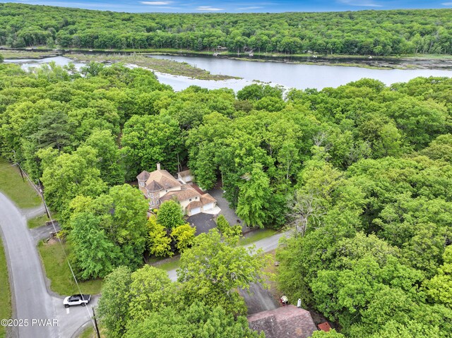 380 Falling Waters Blvd, Lackawaxen, PA 18435 - aerial view of a heavily wooded area and a large body of water
