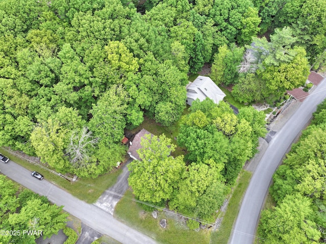 380 Falling Waters Blvd, Lackawaxen, PA 18435 - aerial view
