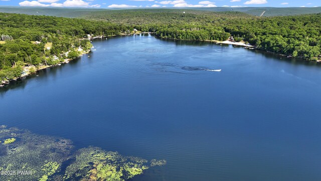 380 Falling Waters Blvd, Lackawaxen, PA 18435 - aerial view of a heavily wooded area and a nearby body of water