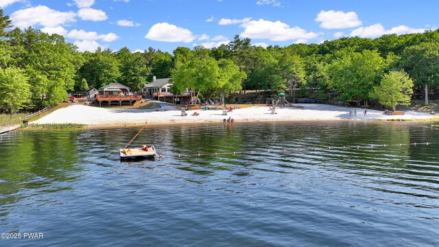 380 Falling Waters Blvd, Lackawaxen, PA 18435 - water view