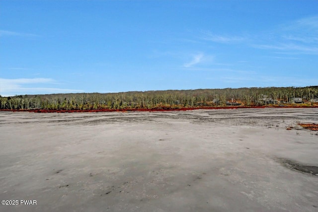 view of yard with a view of trees