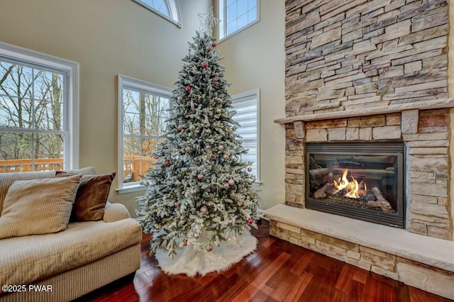 living room with wood finished floors and a stone fireplace