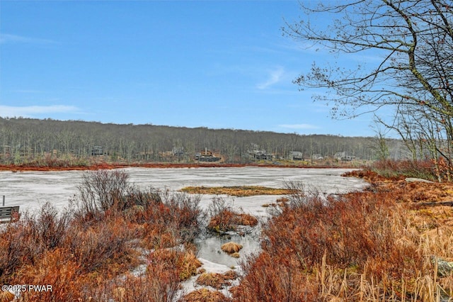 water view featuring a forest view