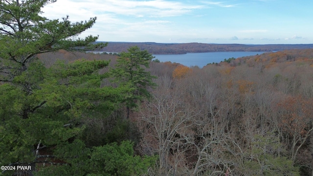 water view