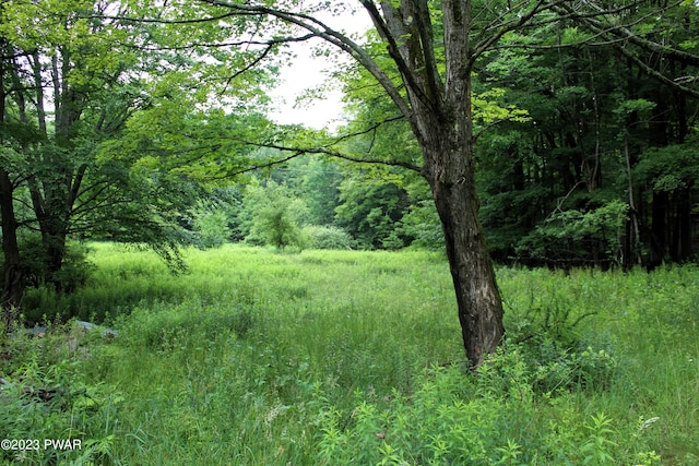 view of nature