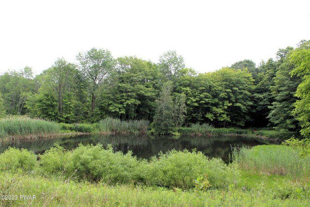 view of local wilderness featuring a water view